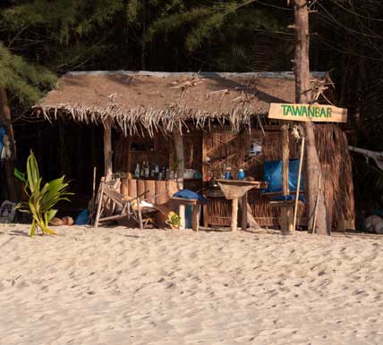 tropical paradise restaurant