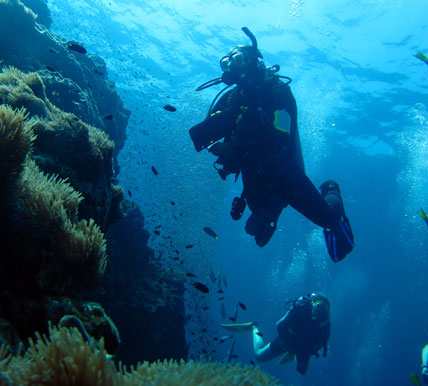 The best diving in Thailand