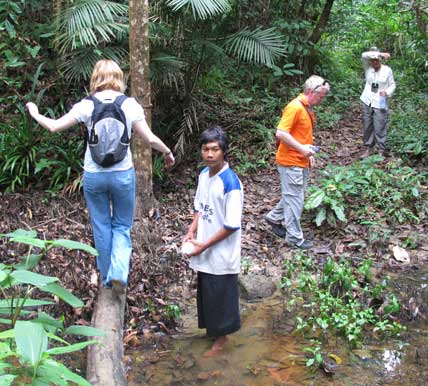thailand jungle trekking on koh ra