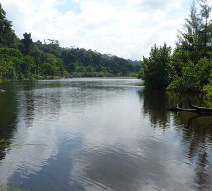 thailand mangrove tours from Koh Phra Thong