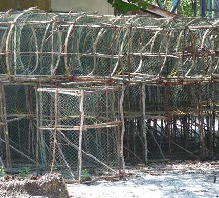 ecotourism in thailand